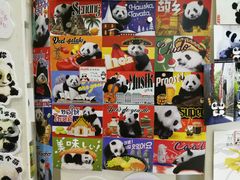 -熊猫邮局(少城店)