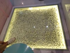 -狐狸和向日葵(北京路店)