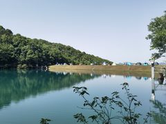-龙坞茶村