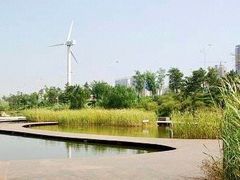 -长白岛森林公园