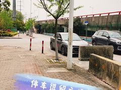 -高东镇樱花园