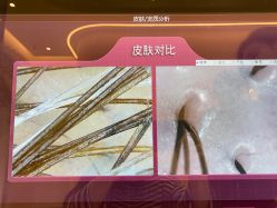 -密发堂乌发养发馆