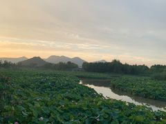 -湘湖大院(越王路店)