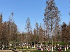 -重庆彩云湖湿地公园