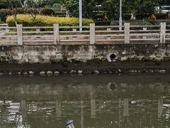 -鞠橘居酒屋(仁恒江湾新天地店)