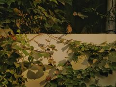 -安福路