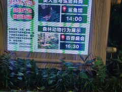 -深圳野生动物园