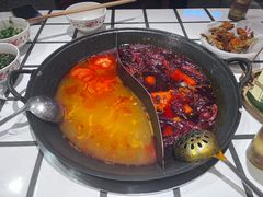 -朱光玉火锅馆(正弘城店)