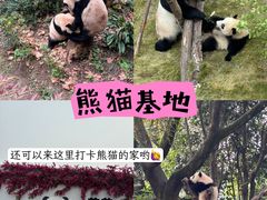 -春熙路步行街