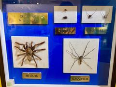 -上海昆虫博物馆
