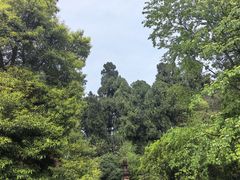 -凤栖山