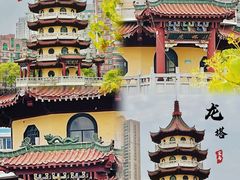 -宝岛公园
