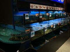 -不仔客海鲜烧烤270度海景餐厅(大东海店)