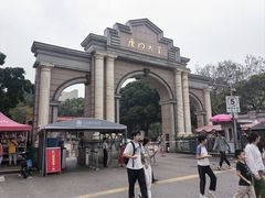 -朱记手撕鸡(八市店)