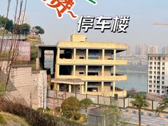 -大渡口区义渡公园