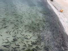 -青海湖二郎剑景区