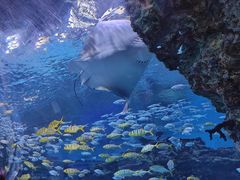 -成都浩海立方海洋公园