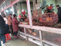 -树木岭集贸市场(劳动东路)