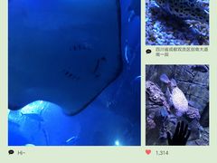 -成都浩海立方海洋公园