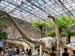 -国家自然博物馆