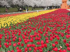 -苏州上方山国家森林公园