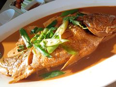 -小船渔村•大连菜•大连焖鱼(黄河路店)