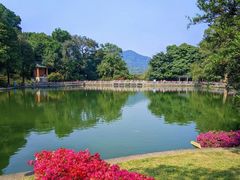 -广州市白云山风景名胜区