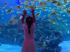 -海合安成都极地海洋公园