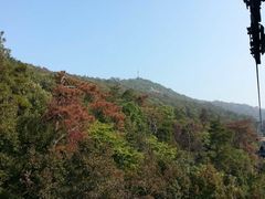 -紫金山天文台