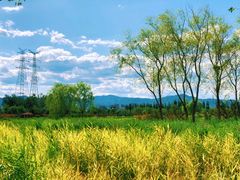 -永定河休闲森林公园