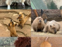 -杭州野生动物世界