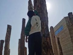 -烟台自然博物馆