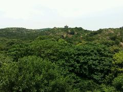 -白马涧龙池景区