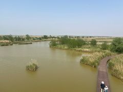 -盐城丹顶鹤湿地生态旅游区