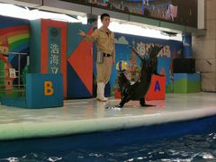 -成都浩海立方海洋公园