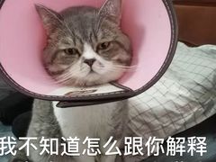 -联合动物医院(光谷诊疗中心)