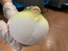 -肆月河豚·新淮扬(金融街店)