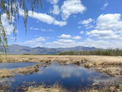 -野鸭湖国家湿地公园