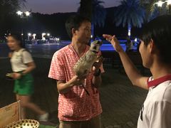 -清迈夜间动物园