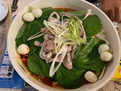 -猫头鹰炸鸡