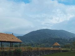 -海南热带雨林国家公园吊罗山景区