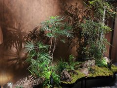 -沅江水·湖南家宴(南村万博长隆商圈店)