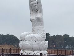 -荷塘月色湿地公园·向阳花洲