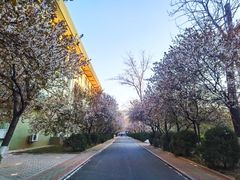 -山东师范大学(千佛山校区)