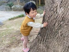 -吴敬梓故居