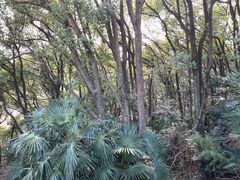 -苏州上方山国家森林公园