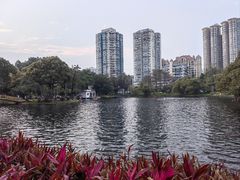 -晓港公园