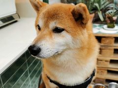 -大水的店(昙华林店)