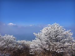 -大围山国家森林公园