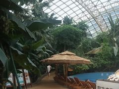 -麦积山温泉